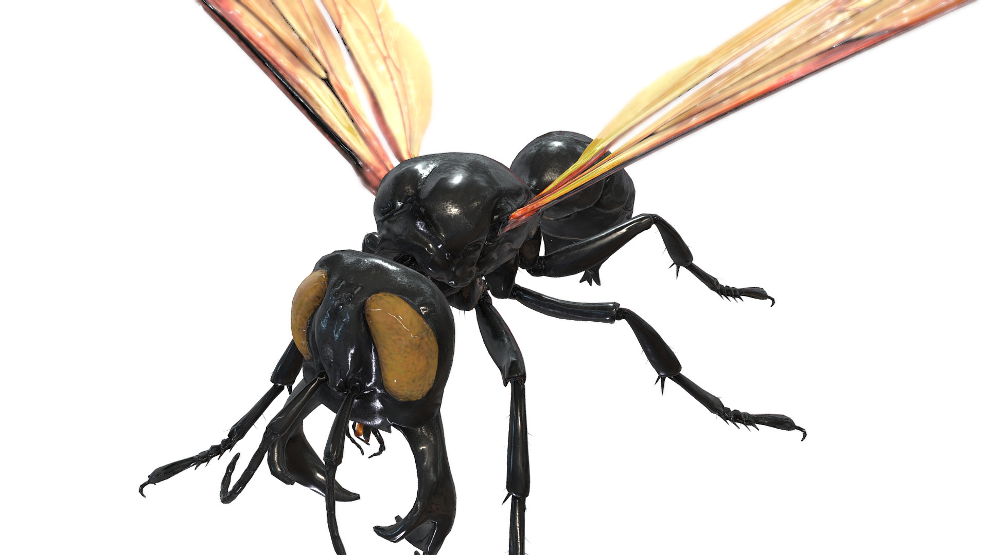 3D model Megalara garuda - This is a 3D model of the Megalara garuda. The 3D model is about a black and yellow insect.