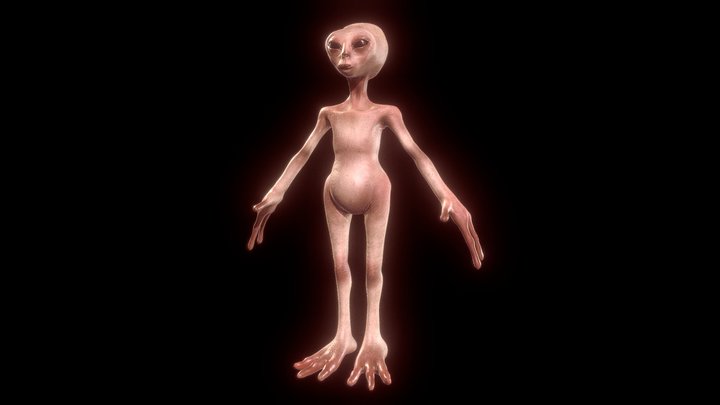 Realistic Alien - Mexico Aliens insiped 3D Model