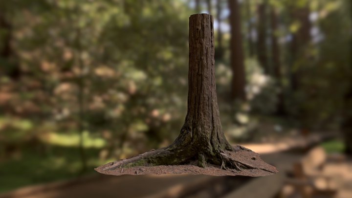 Sequoiadendron Small01 Mid Poly 3D Model