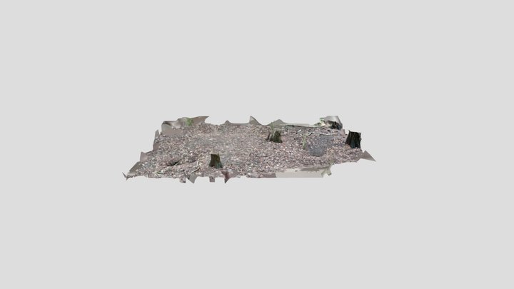 Badger sett area scan 2 – Modello 3D gratuito STL