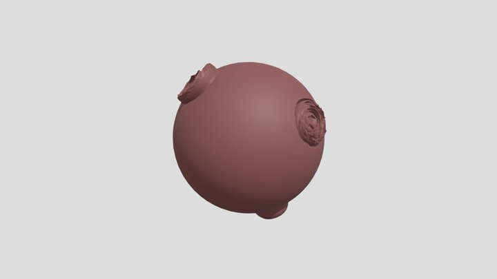TORNADO! 3D Model