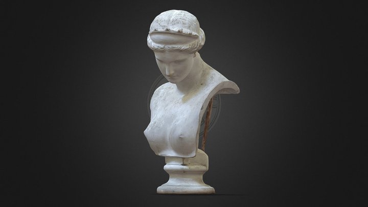 AFRODITE DI CAPUA 3D Model