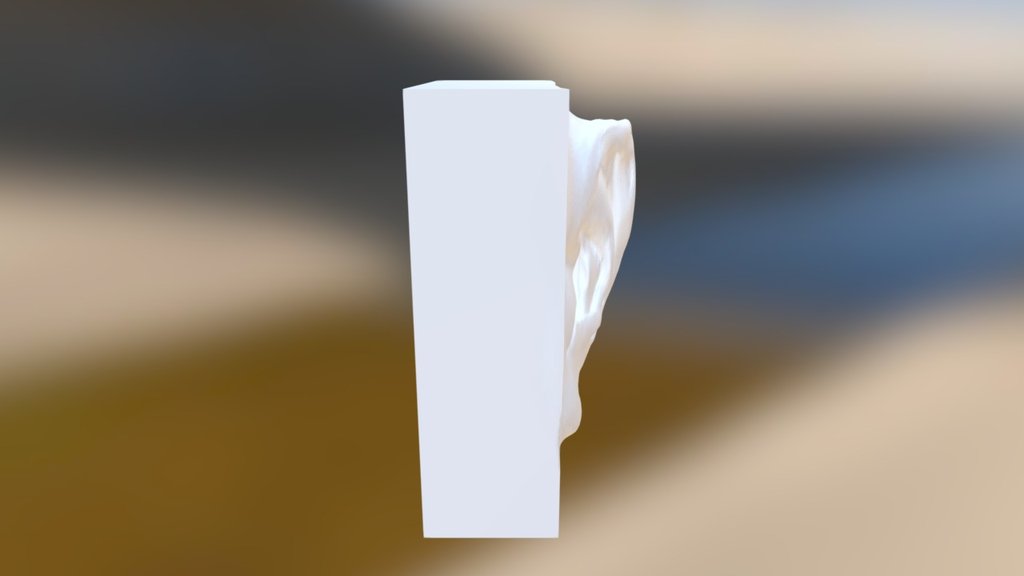 Ear