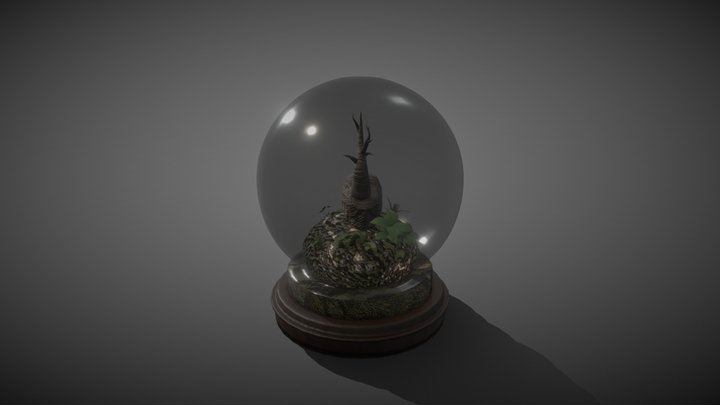 Shell Terrarium | Week 3 3D Model