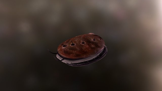 Stylized Red Abalone (High Poly Version) 3D Model
