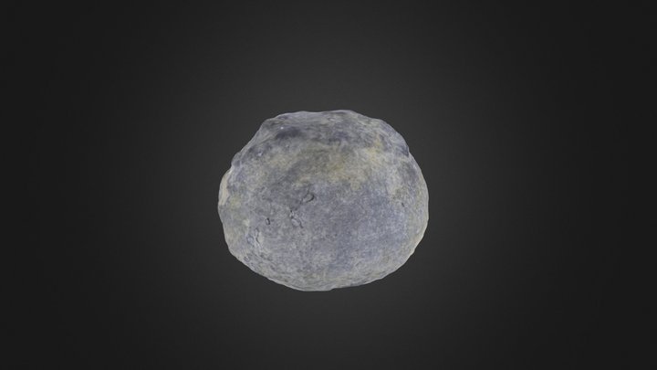 Sponge: Hindia sp. – Free 3D Model STL