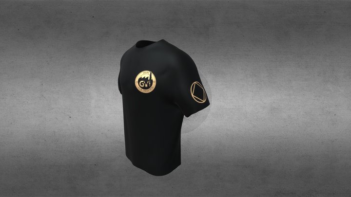 Camiseta Foil "GVI 25 anos" 3D Model
