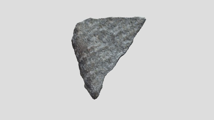 Model 1.1 3D Model