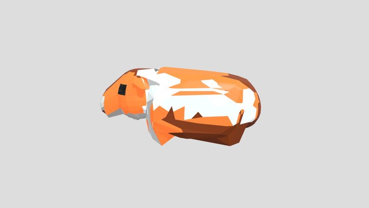 Cuy 3D Model