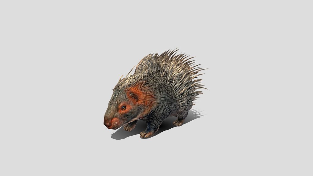Prismatic Porcupine Low Poly 3d Model
