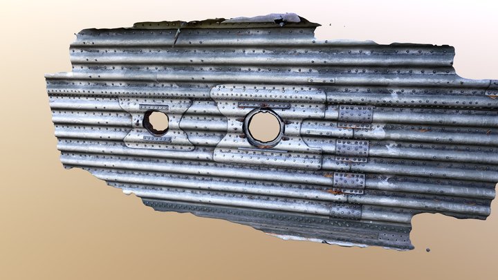 B-17 Aluminum Panel Detail 3D Model
