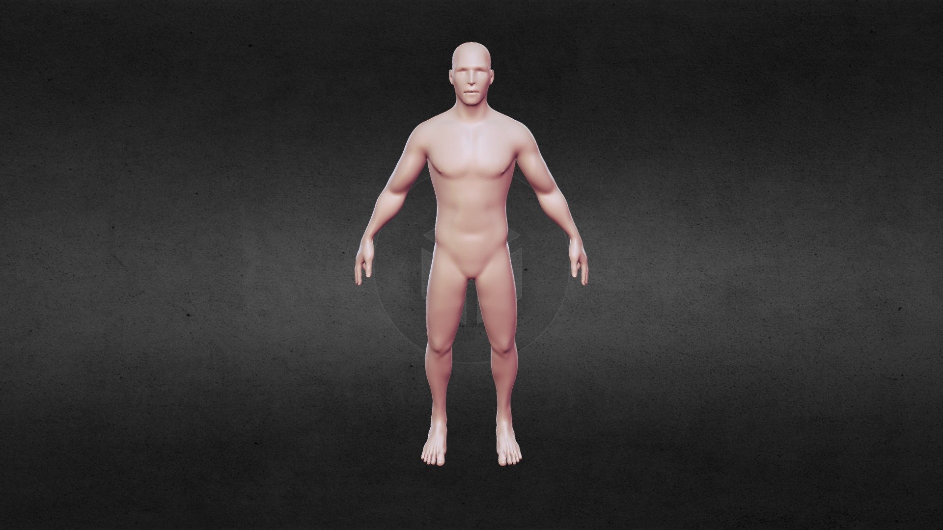 Base Male — Sketchfab embed 3D viewer