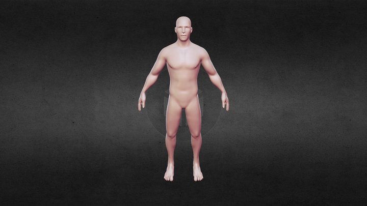 Base Male – Modello 3D gratuito STL