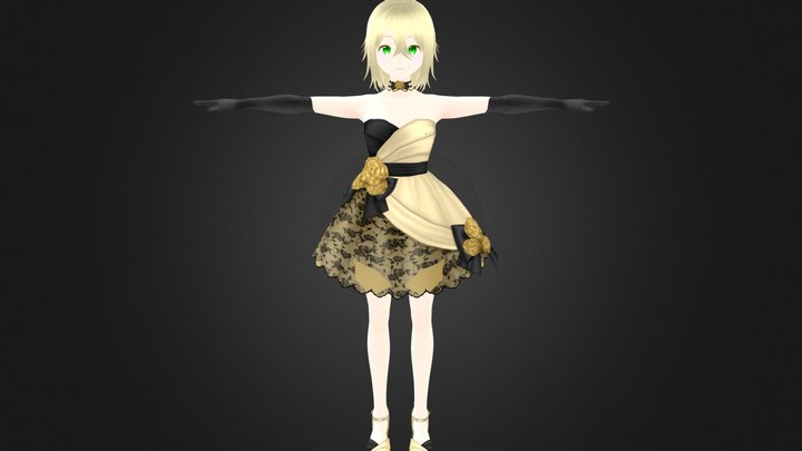 Princess Anime Girl - Fully Rigged 3D Model 3D Model