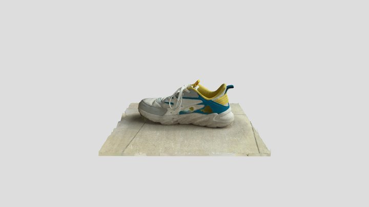 Worn Shoe 3D Model