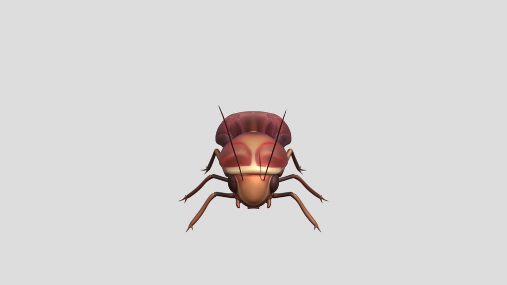 Rocket League Cockroach