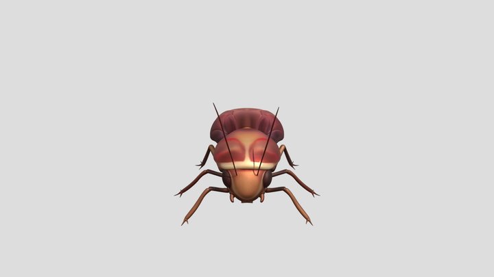 Rocket League Cockroach