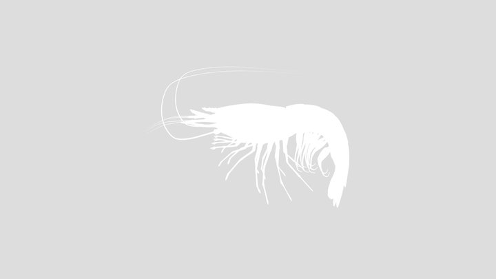 Shrimp – Modello 3D gratuito STL