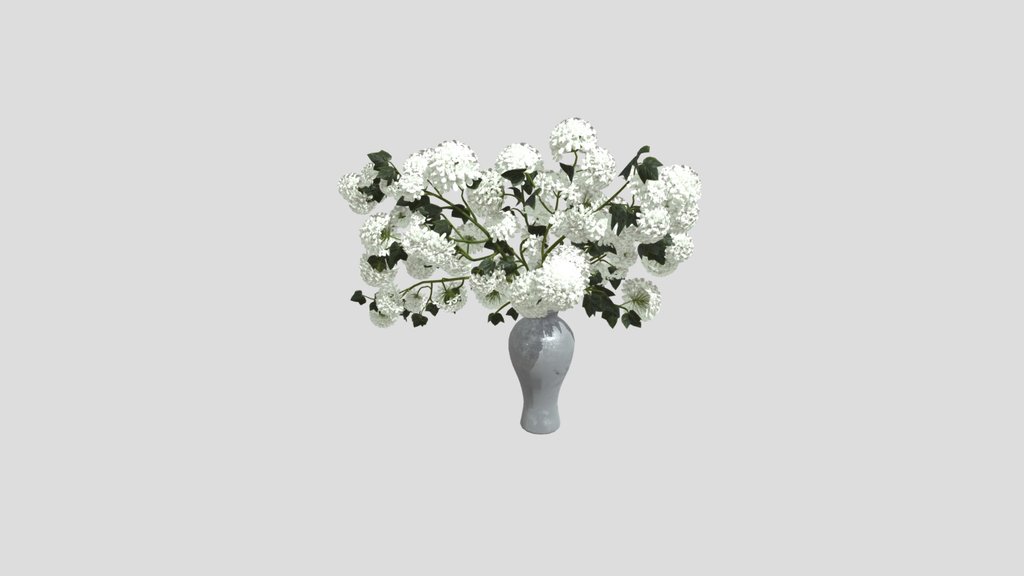 White Hydrangea