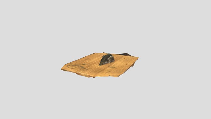 wotw hood 3d scan 3D Model