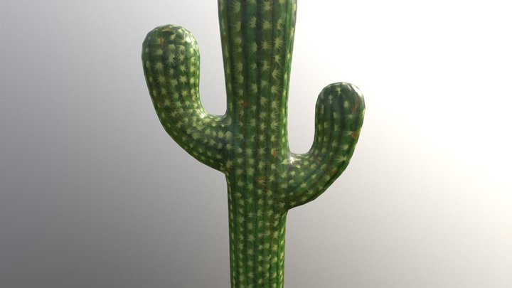 Cactus 3D Model