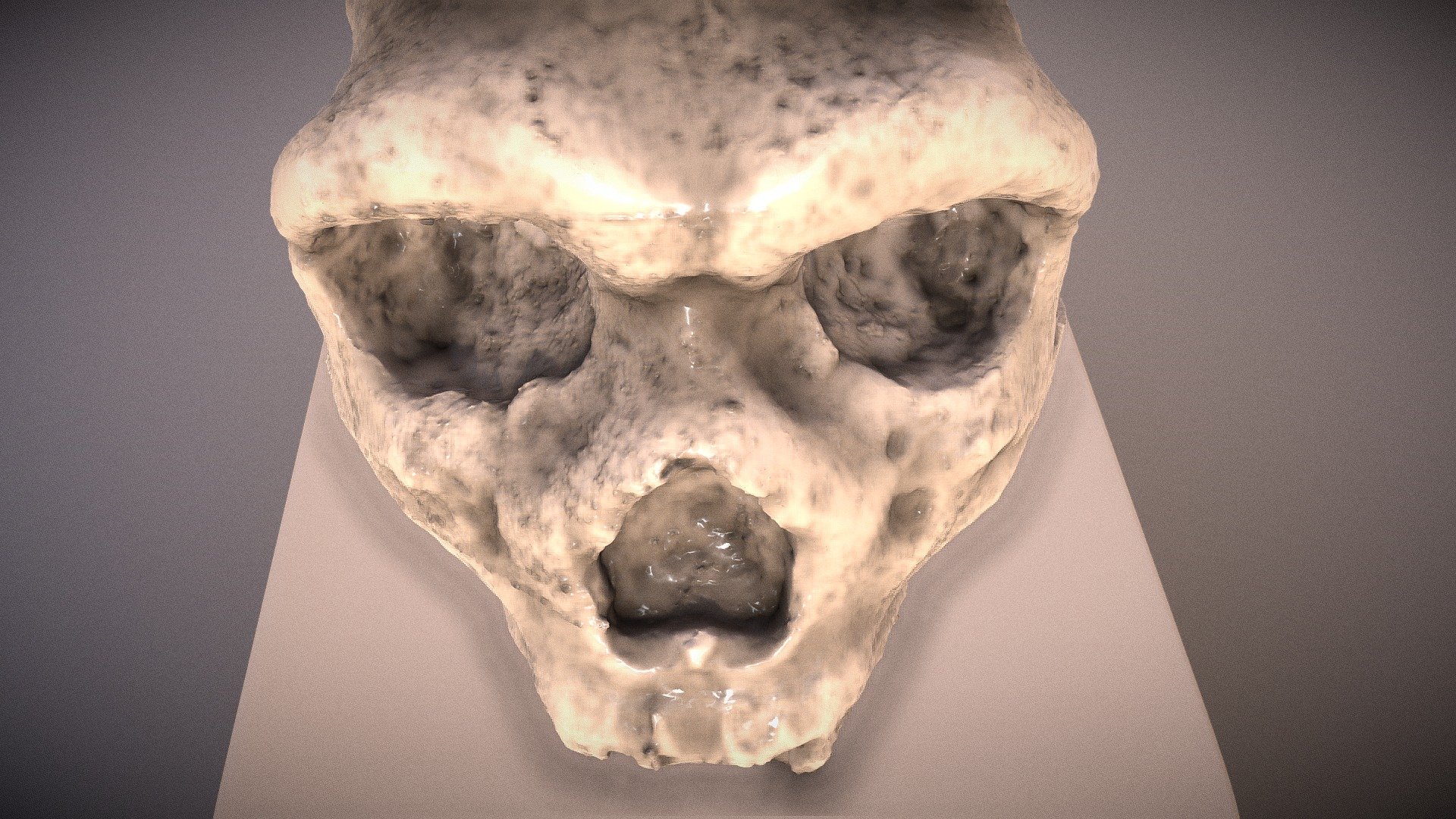 Petralona Caveman