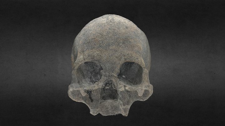 PERITAJE ANTROPOLÓGICO NUBE-PUNTOS 3D Model