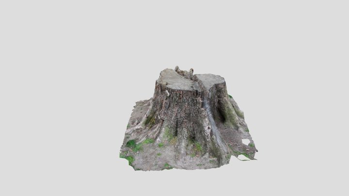 TreeStump_PhotogrammetryEdition 3D Model