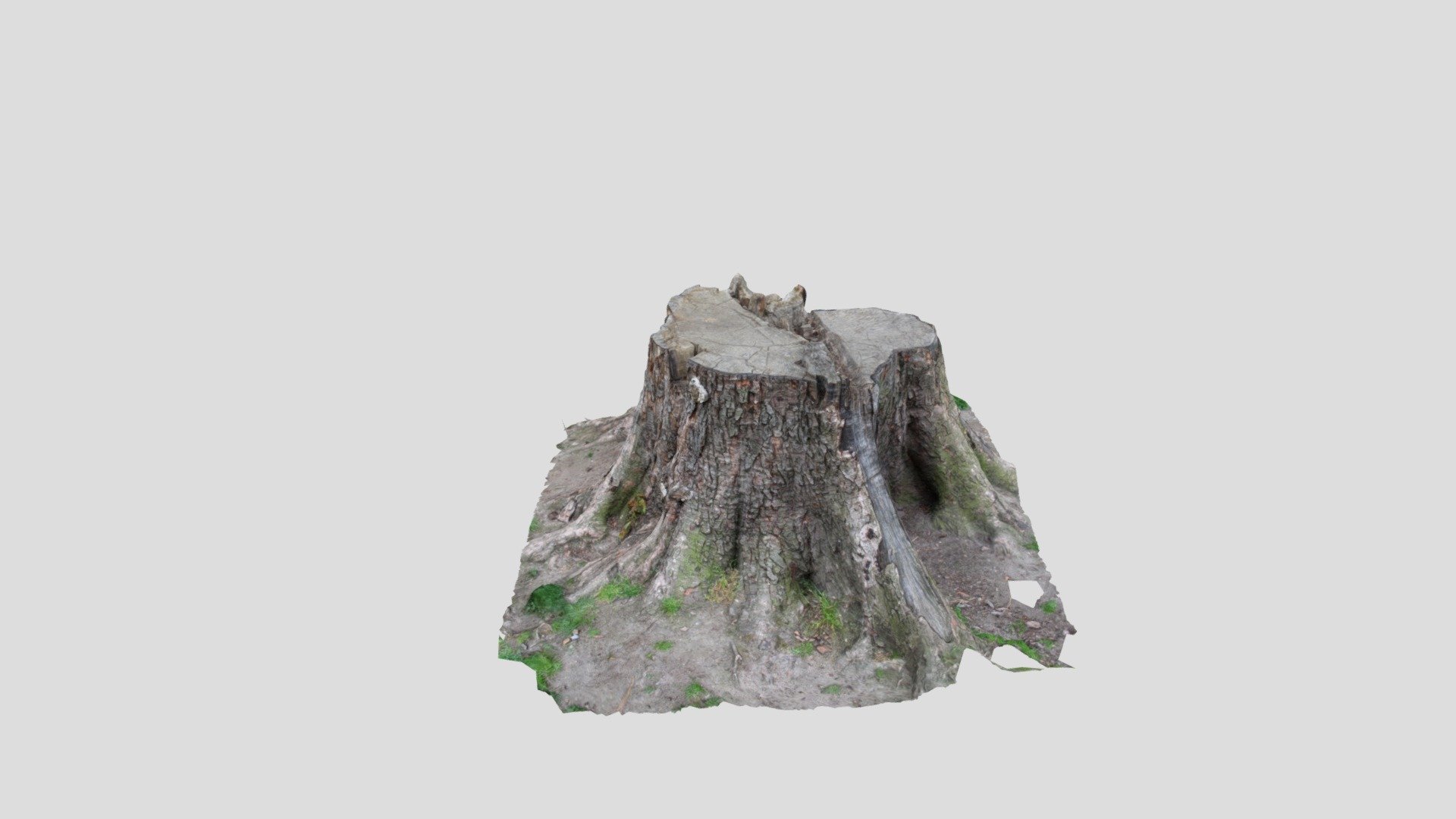TreeStump_PhotogrammetryEdition