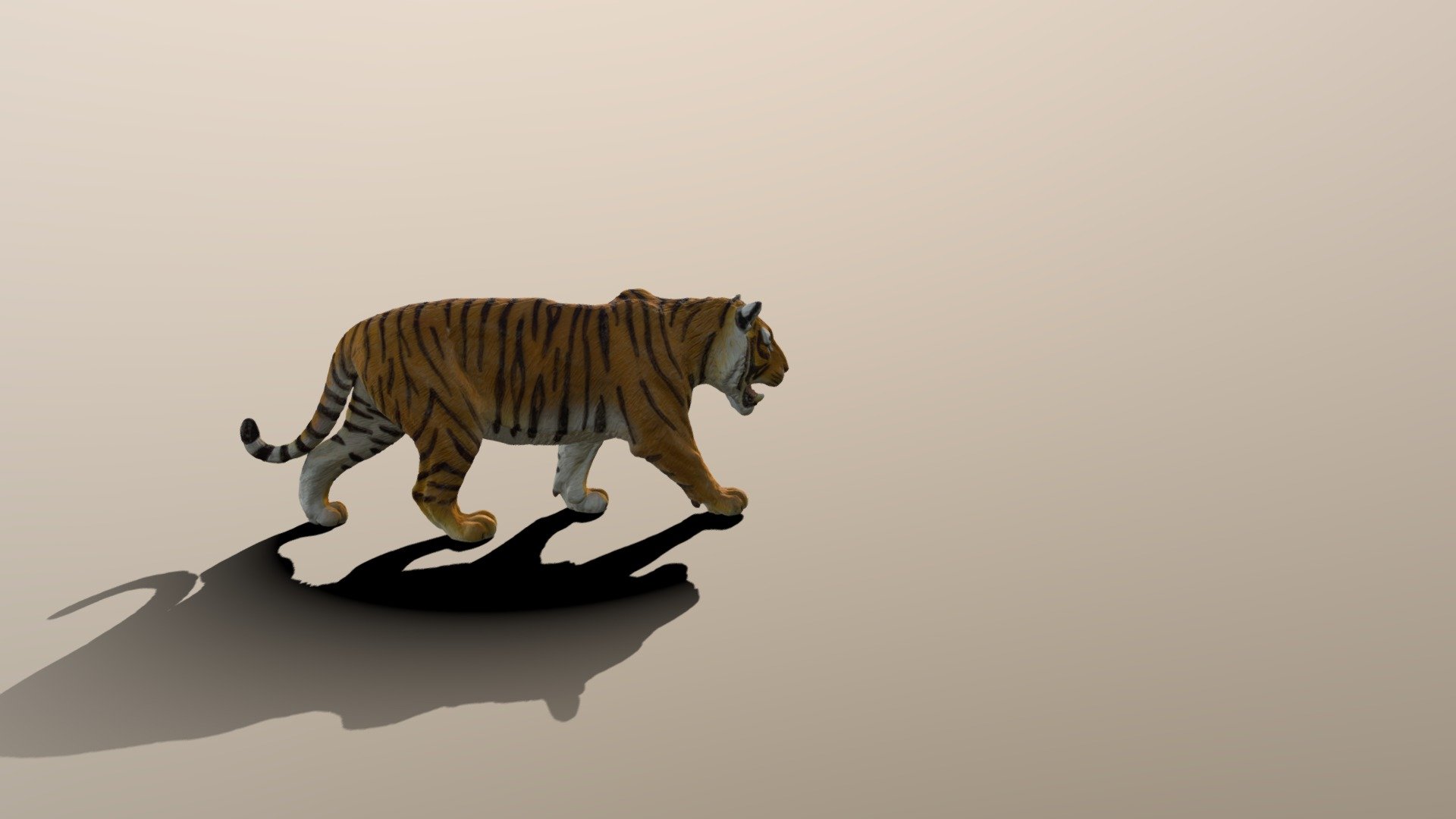 Walking Tiger - Download Free 3D model by Nudelkulle (@Nudelkulle) [171f156]
