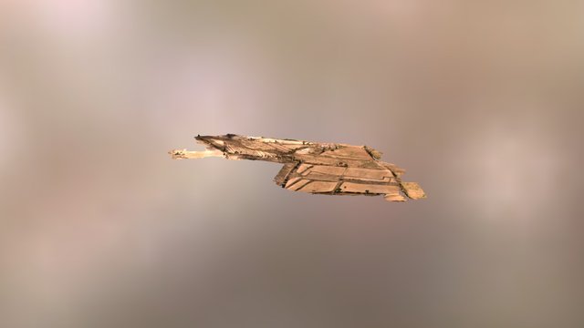 Levantamiento Topografico zona rural 3D Model