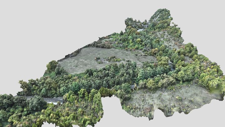Fiume Calore, Ponte Medievale, Magliano Nuovo. 3D Model