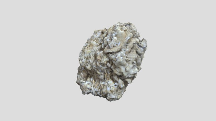 Unknown sed rock 3 3D Model