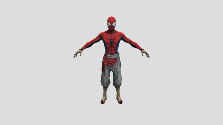 Spiderindia 3D Model