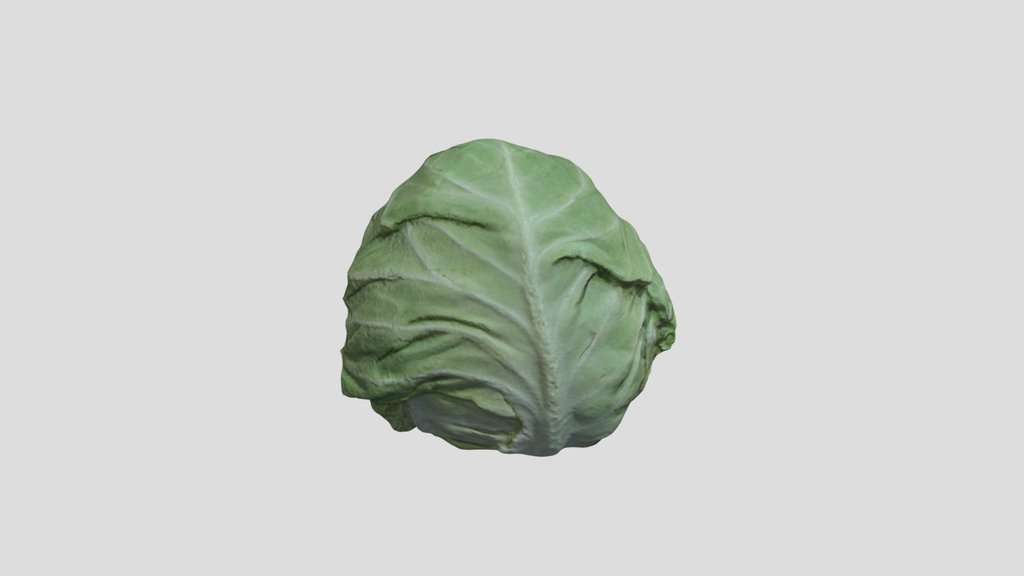 Cabbage Head