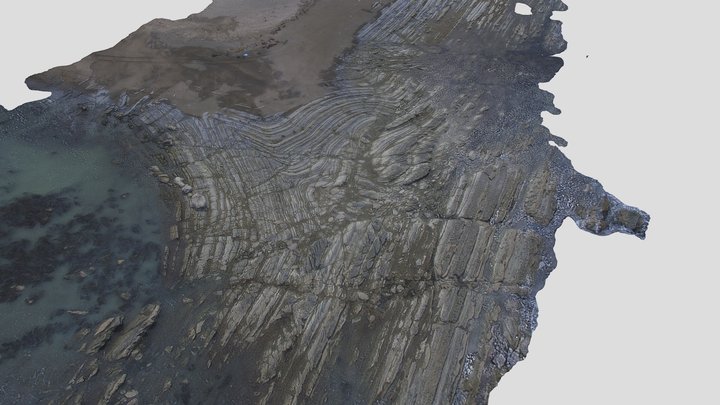 Folded Rocks at Uruti Point 3D Model