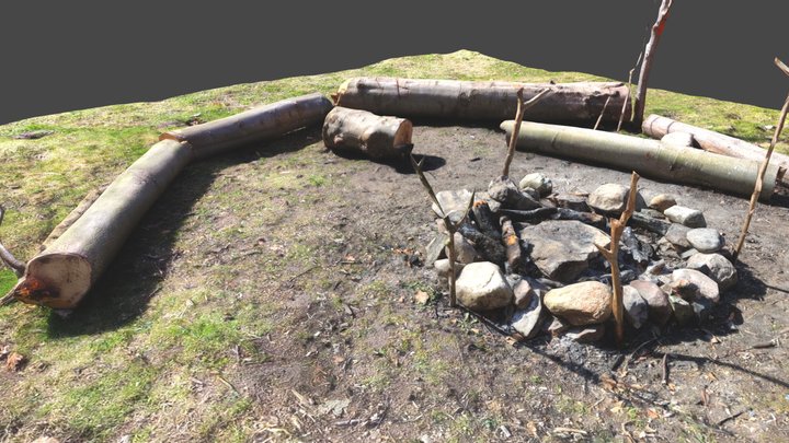 Campfire Photogrammetry 3D Model
