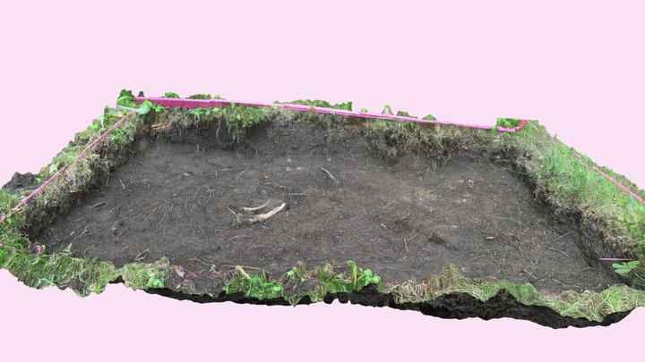 3D model of archaeological excavations. 3D Model