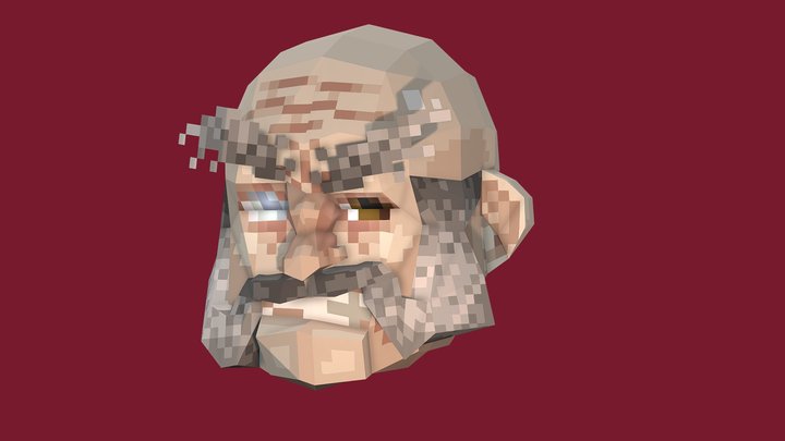 RacewizardHEAD 3D Model