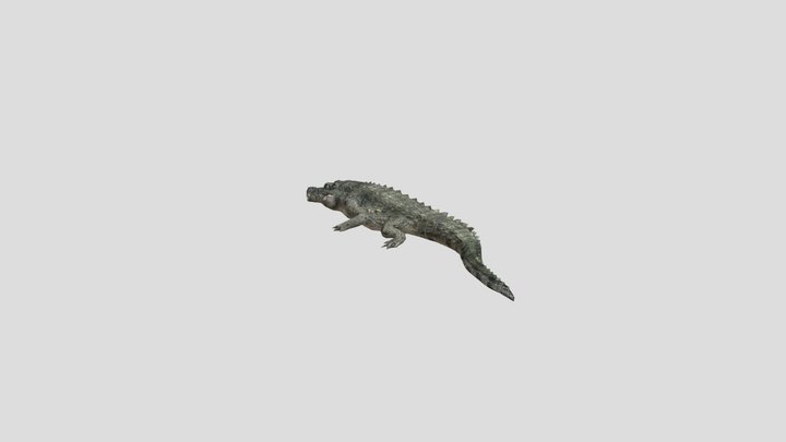 Crocodile 3D Model