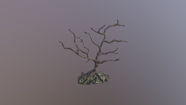 albero 3D Model
