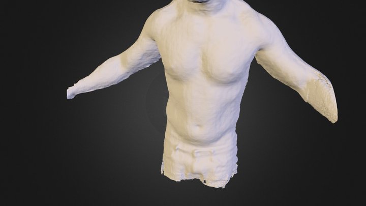 body1 3D Model