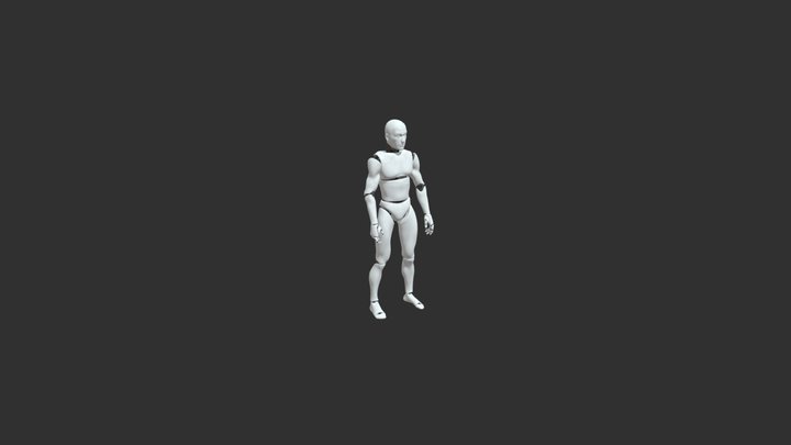 Shot In The Air With A Pistol 3D Model