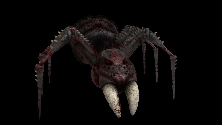 Spider
