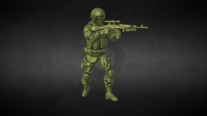 RF special print 3D Model