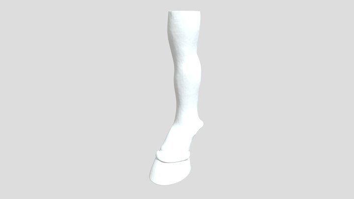 smooth latex ponyplay hoof boot 3D Model