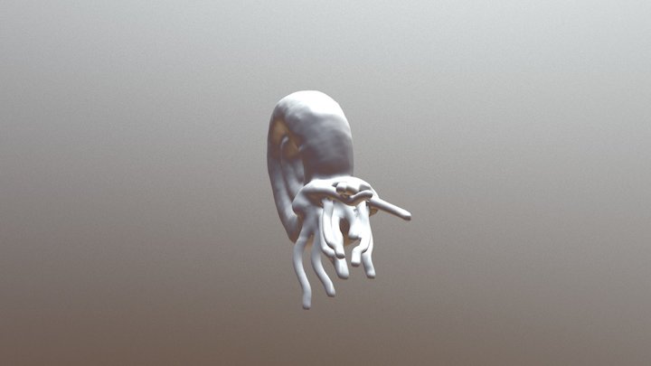 Ammonite 3D Model