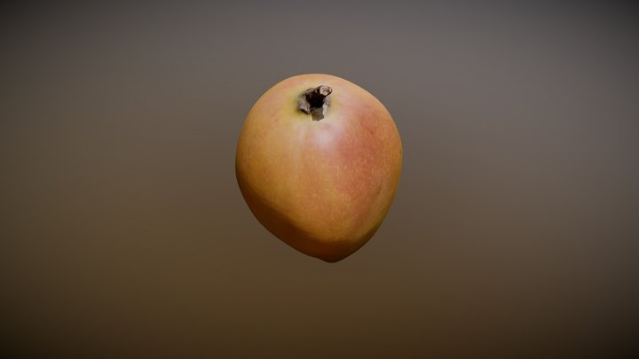 Mango Photoscanned 3D Model