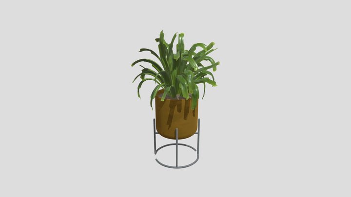 Plant