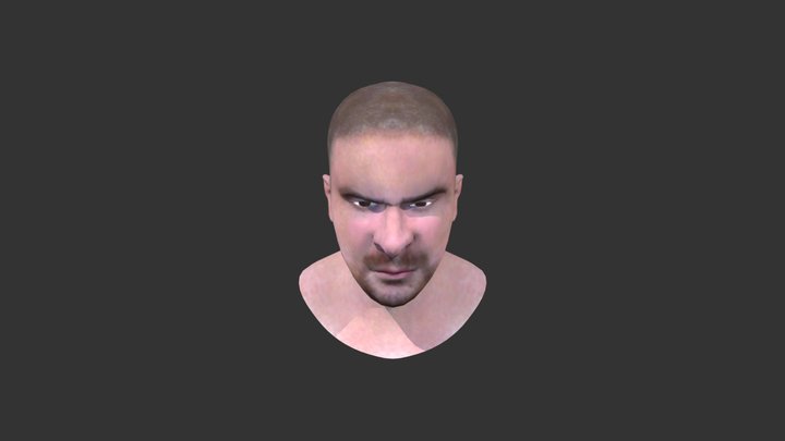 Angry-face-head-test 3D Model